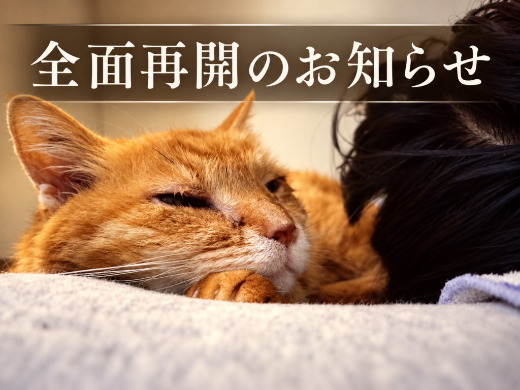 「全面再開のお知らせ」の文字と、寄り添って眠る茶トラ猫と黒猫
